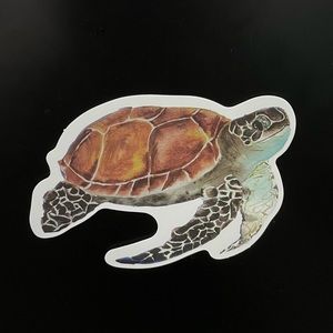 Turtle Sticker